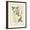 Brown Frame, variant on Art.com Vintage Flowering Trees VII Art Print by 0 Unknown, 12" x 16"