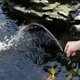thumbnail image 5 of Bomba de agua sumergible TUNC para fondo de estanque fuente de acuario 12V, 5 of 5