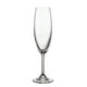 thumbnail image 1 of Juego de 6 Copas para Champaña Bohemia Crystalite 220 ml Sylvia, 1 of 2