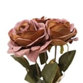 thumbnail image 4 of My Texas House Fall Faux Rose Bundle, Light Brown, 20", 4 of 5
