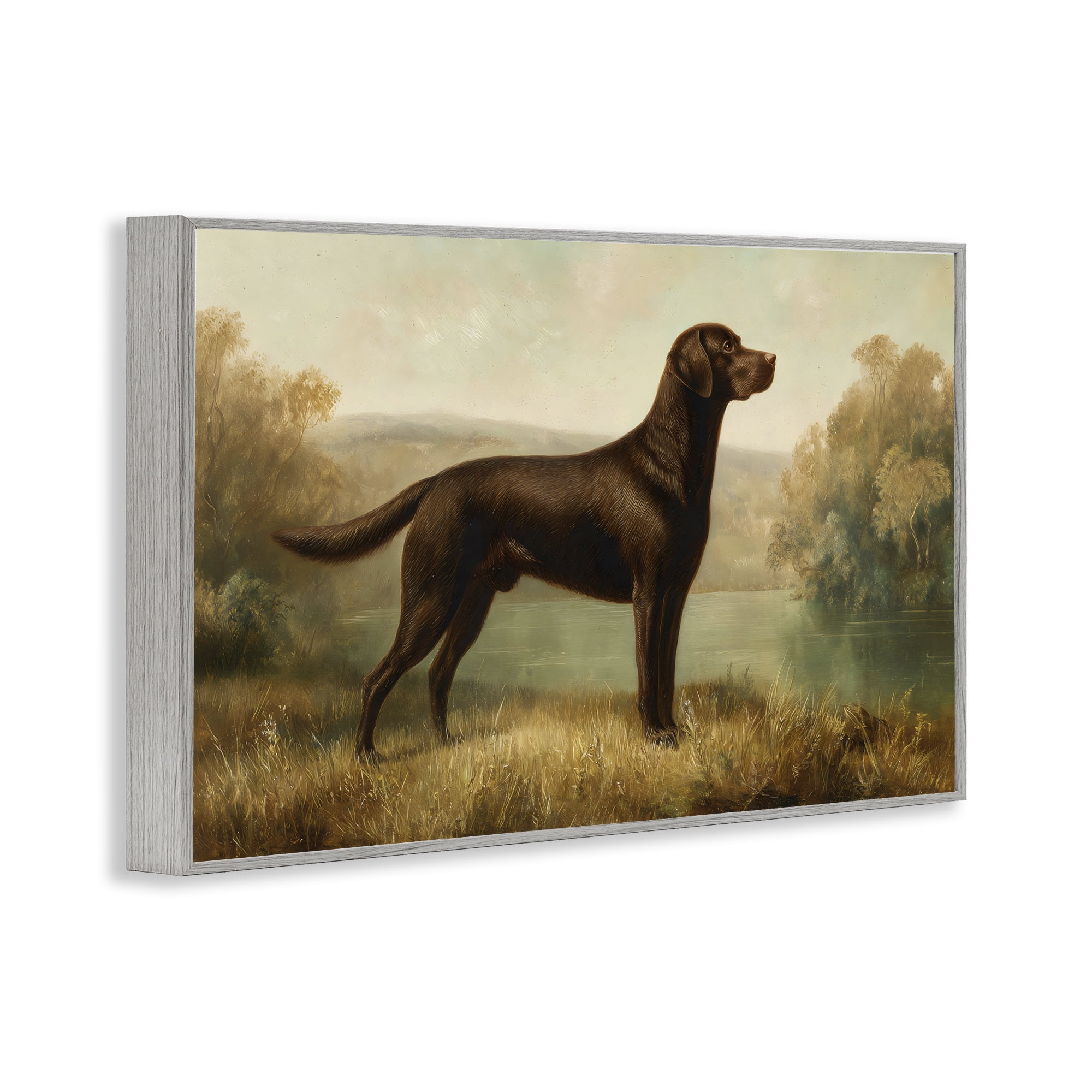 Stupell Industries Chocolate Brown Labrador Gray Framed Giclee Art, design by Petal Prints Design