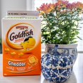 thumbnail image 4 of Craquelins de Cheddar Goldfish en Format Familial, Boîte de 750g, 4 of 11