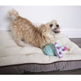 thumbnail image 4 of goDog Dinos Frills Plush Squeaker Chew Guard Dog Toy, Small, Teal, 4 of 11