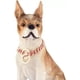 thumbnail image 3 of Gzmzc Collar De Cadena Para Perro De Acero Inoxidable Pulido, 3 of 7