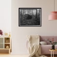 thumbnail image 3 of Historic Framed Print, Brookside Coal Mine, Beehive Coke Ovens, Mount Olive Road, North of Five Mile Creek Bridge, Brookside, Jefferson County, AL - 2, 17-7/8" x 21-7/8", 3 of 9