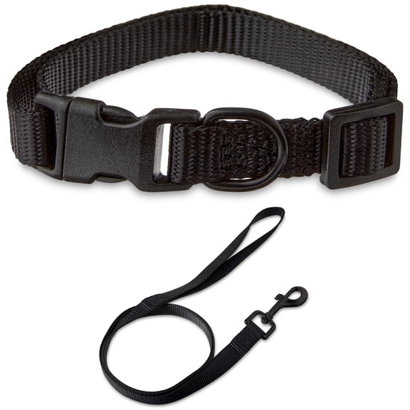 Vibrant Life Solid Polyester Adjustable Dog Collar, with 4ft Dog Leash, Black, Small