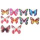 thumbnail image 3 of 10 Pcs Refrigerator Magnets Adults Fridge Magnets Kids Magnets For Fridge Funny Fridge Magnets, 3 of 3