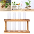 thumbnail image 2 of Maceta colgante de pared, maceta de vidrio para mesa, soporte de madera con 4 tubos de ensayo, 2 of 9