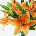 thumbnail image 3 of 16 Pcs Artificial Tiger Lily Real Touch Fake Easter Lily Flowers for Wedding Home Party Easter Decoration Plastic Lily Faux Flowers Orange, 3 of 4