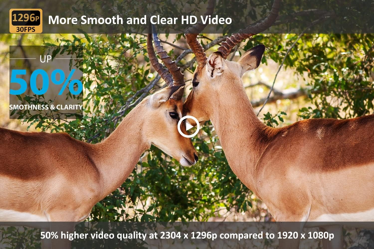 CAMPARK WiFi Trail Camera with SD Card 1296P 20MP Bluetooth Game Hunting Camera Outdoor Deer Trail Cam with 850nm Low-Glow Infrared Night Vision Waterproof 2.0" LCD Screen Motion Activated Scouting