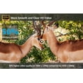 thumbnail image 4 of Campark WiFi Trail Camera 24MP 1296P Bluetooth Game Camera with Night Vision Waterproof IP66 Motion Activated, 4 of 10