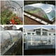 thumbnail image 4 of Yuarrent Lona transparente para una fácil protección de las plantas en cualquier clima Paneles de policarbonato para invernaderos Láminas de Jardín y Patio Color transparente 2m*10m, 4 of 6