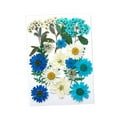 thumbnail image 2 of Kits de Hojas Secas de Flores Prensadas Secas, Hermosas Manualidades DIY para álbumes de Recortes, Decoraciones Artesanales, Estampado de Sobres para Azul, 2 of 8