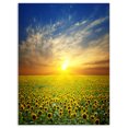 thumbnail image 2 of Beauty Sunset over Sunflowers Field - Floral Canvas Art Print, 2 of 3