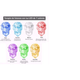thumbnail image 2 of Mascara De Terapia Facial Con Luz Led De 7 Colores, 2 of 5