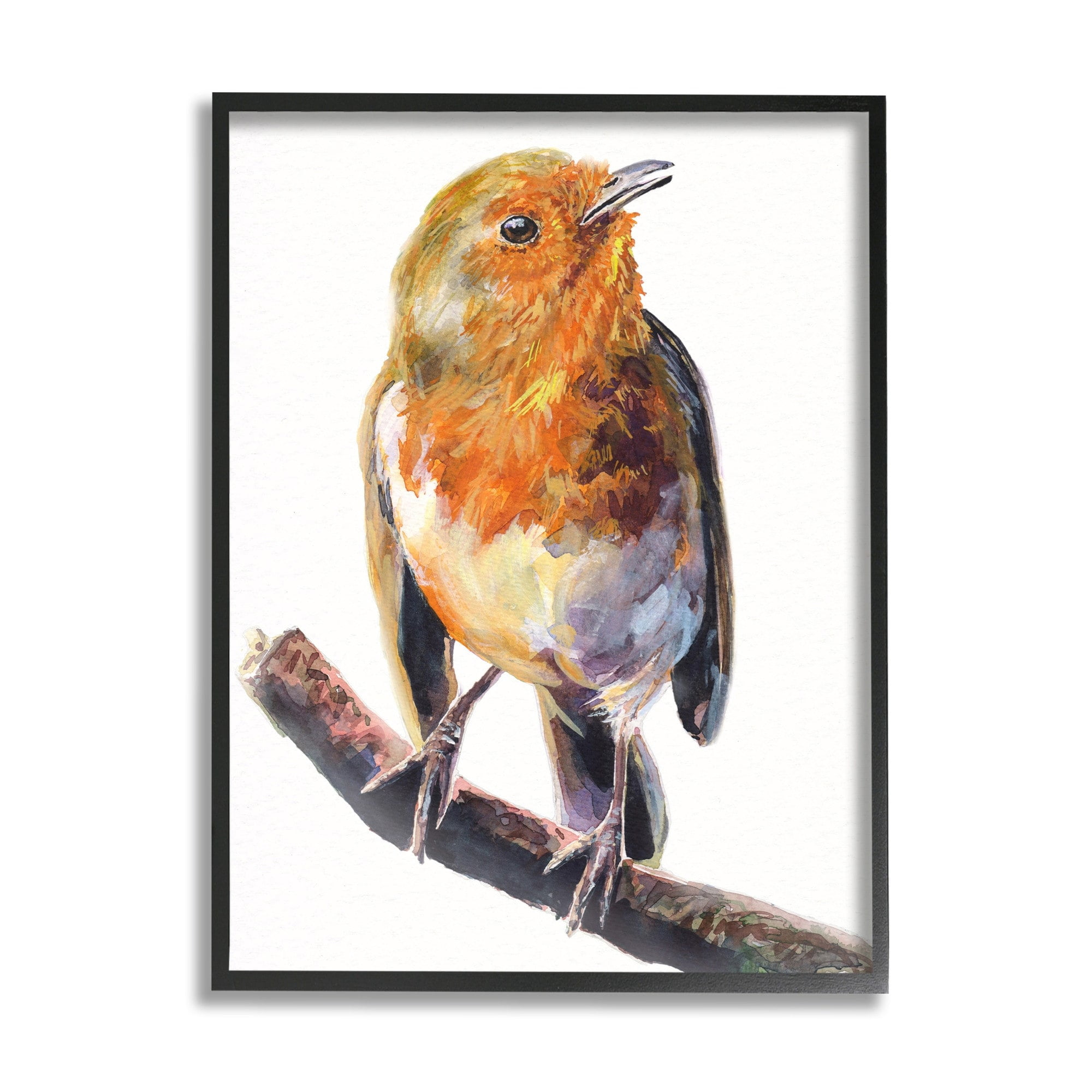 Stupell Industries Orange European Robin Perched Bird Portrait Black Framed, 24 x 30, Design by George Dyachenko