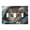 Cute Kitten Wrapped in Blanket, variant on Dailycode Light Switch Plate Covers 2 Gang Wall Plate Plastics Outlet Covers for Kitchen Home Office Decor Majestic Train in Clouds