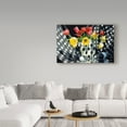 thumbnail image 3 of Trademark Fine Art 'Black And White In Color' Canvas Art by Francois Chartier, 3 of 3