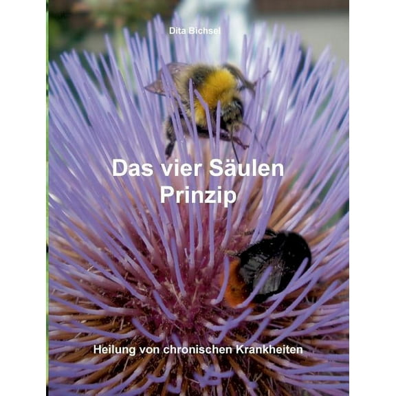 Das vier SÃ¤ulen Prinzip: Heilung von chronischen Krankheiten, (Paperback)