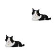 thumbnail image 4 of Vogacara Muñeco de gato, juguete de peluche realista, almohada para dormir, muebles, piel de aspecto , cierre para niños, ayuda para dormir, tipo 3 50 cm (0.32 kg) 2Conjunto, 4 of 6