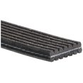 thumbnail image 4 of Gates DK070536 Multi V-Groove Belt, 4 of 4