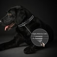 thumbnail image 3 of Correa adicional para collar de perro: compatible con todos los collares de adiestramiento con descarga eléctrica., 3 of 5