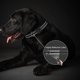 thumbnail image 3 of Correa adicional para collar de perro: compatible con todos los collares de choque para adiestramiento de perros, 3 of 5