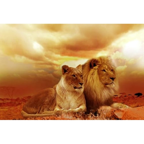 wooden puzzle Lions at Sunset Intelligent Game Fit togather a magic Art for home Decoration or Prensent 500 pieces