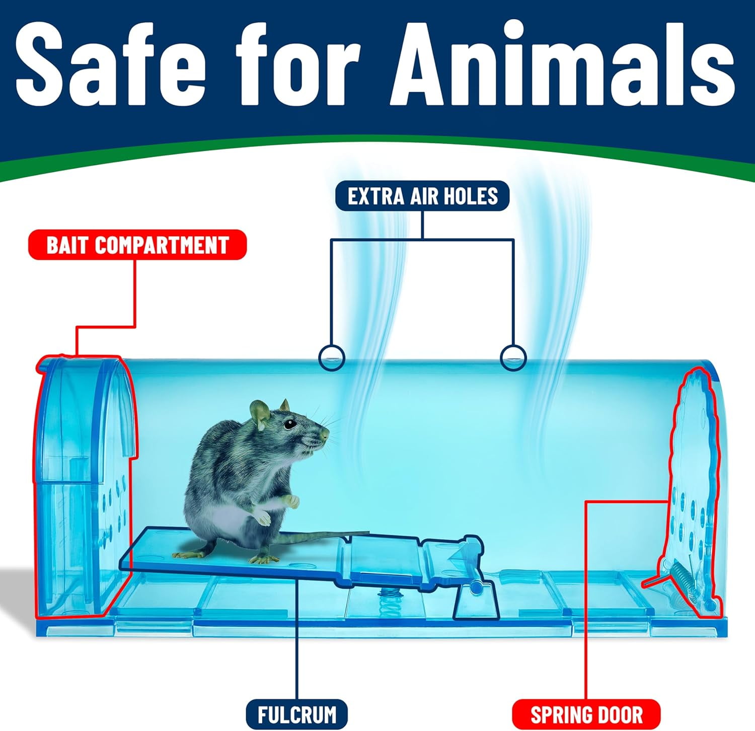 Campior Humane No-Kill Mouse Trap, Large, Indoor, Child & Pet Safe, Easy to Clean, 4-Pack, Blue