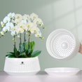 thumbnail image 1 of Meshpot Macetas para orquídeas de 8 pulgadas con orificios para trasplante Juego de 2 macetas decorativas violeta africana con poda de aire y buena circulación de aire Maceta de plástico para orquídea, 1 of 1