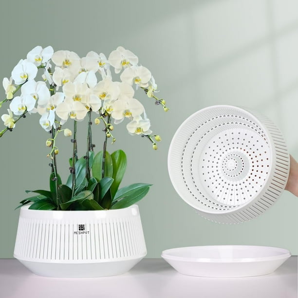 Meshpot Macetas para orquídeas de 8 pulgadas con orificios para trasplante Juego de 2 macetas decorativas violeta africana con poda de aire y buena circulación de aire Maceta de plástico para orquídea