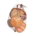 thumbnail image 2 of 5.5in Harvest PL Bagged PP Acorn/Pumpkin, 2 of 4