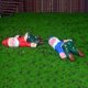 thumbnail image 5 of De Enano Borracho, Escultura De Enano De Jardín De Hadas, Adornos De Resina, Manualidades, Mini Estatuas De Jardín Para Maceta, Decoración De Macetas Eigraketly HA042855-02, 5 of 5