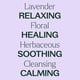 thumbnail image 4 of Plant Therapy Aceite Esencial Orgánico de Lavanda, 30 ml, 4 of 8