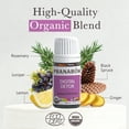 thumbnail image 7 of Pranarom Digital Detox Aroma Blend 5ml for Relaxation & Stress Relief, 7 of 7