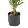 thumbnail image 3 of Troup 4' x 2.5' Artificial Tabletop Palm Tree, Green, 3 of 4