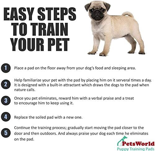 PetsWorld Pet Supplies Heavy Absorbent Adult Dog Pads, 30 X 36 Inches, Pee Pads, 300 Count training Puppy Pads 2-extra Large