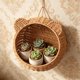 thumbnail image 1 of YSNOOWE Cesta Colgante De Almacenamiento De Imitación Rattan Tejida Para Cocina Y Color, 1 of 6
