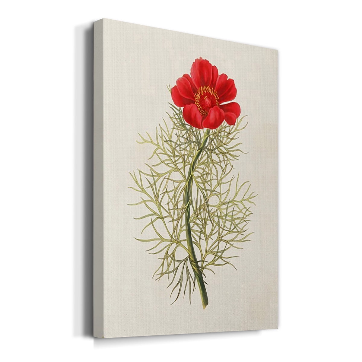 Flowers of the Seasons VII Premium Gallery Wrapped Canvas - Ready to Hang