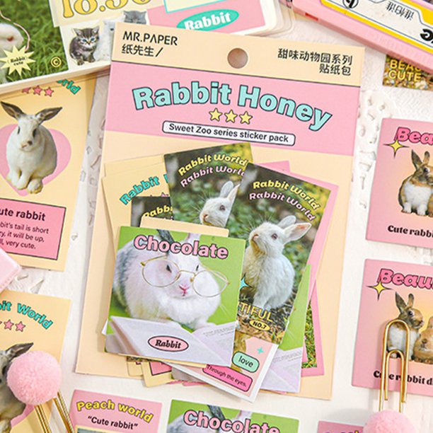 Pegatinas De Papel Pegatinas de papel de dibujos animados, paquete de pegatinas de conejo reutilizables para niños, adolescentes, niñas y adultos