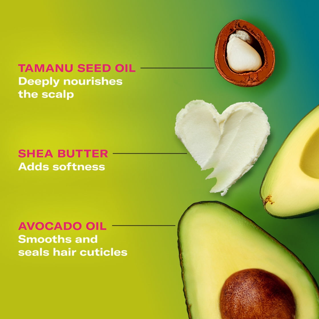 Mielle Avocado and Tamanu Anti Frizz Conditioner 12 fl oz