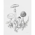thumbnail image 2 of Nai, Danhui 20x24 Black Ornate Wood Framed with Double Matting Museum Art Print Titled - Natures Sketchbook II Bold Light Gray, 2 of 4