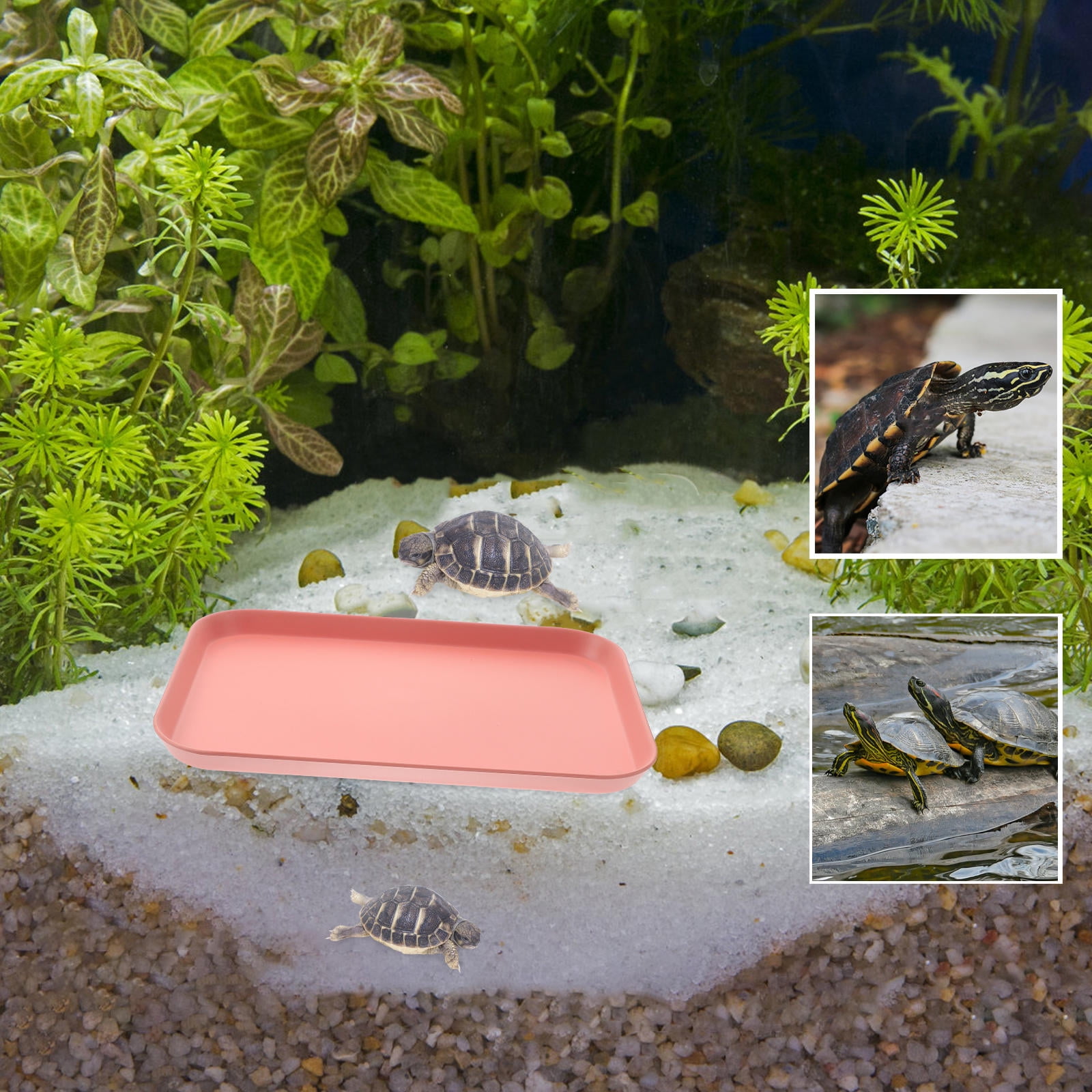 RENACLIPY Durable Pink Reptile Feeding Bowl with Special Rim to Prevent Worm Escape