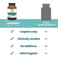 thumbnail image 6 of Himalaya Organic Ashwagandha Root for Stress, Energy and Adrenal Support, 670 mg, 60 Caplets, 6 of 10