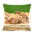 thumbnail image 1 of BOSDECO Rabbit Christmas Pillow Case Pillowcases Cushion Case Cover 20x20 inches, 1 of 1