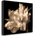 thumbnail image 2 of Tangletown Fine Art Double Dappled I by Charles Britt Poster Frame - 21 x 29 x 1.5 in., 2 of 2