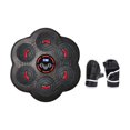 thumbnail image 1 of jinwen Music Boxing Machine Wall Target Boxing for Fitness Kickboxing Adult 6 hole double light, 1 of 9