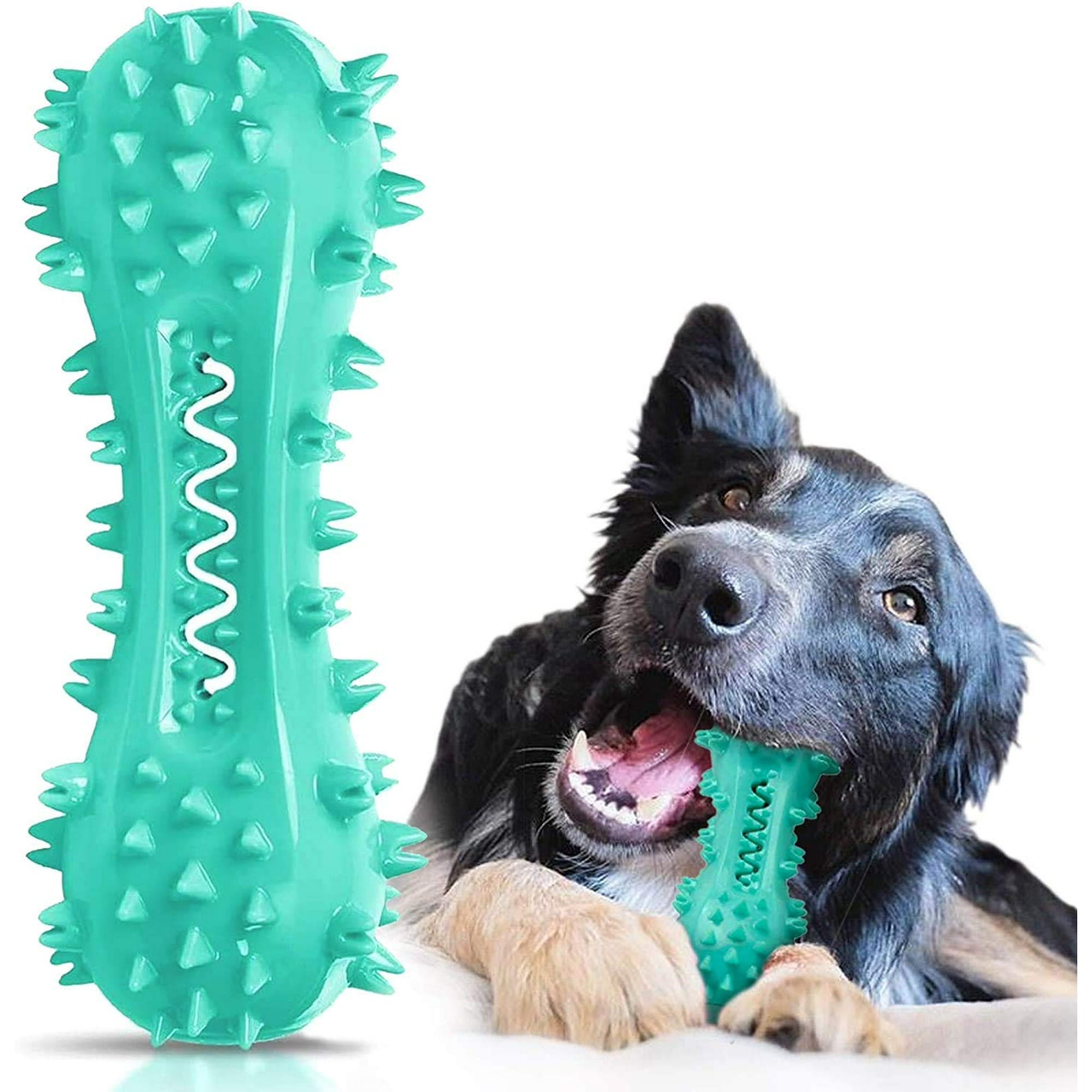 Dog chewing toothbrush hotsell
