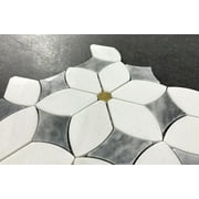 Water Jet 6 x 6 Novelty Mosaic Wall & Floor Tile - Case (10 Sheets)