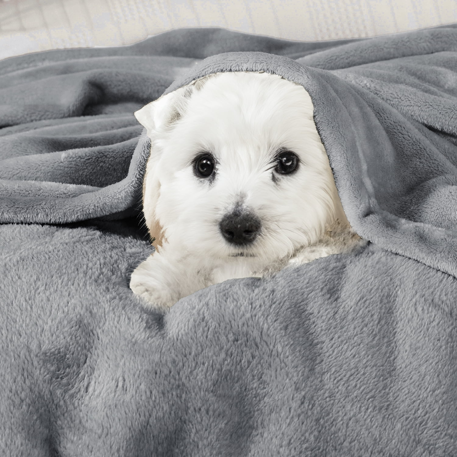 Cozy Comfort Fleece Throw Blanket for Couch Grey, 260GSM Lightweight Plush Fuzzy Cozy Soft Blankets and Throws for Sofa, 49x59 inches